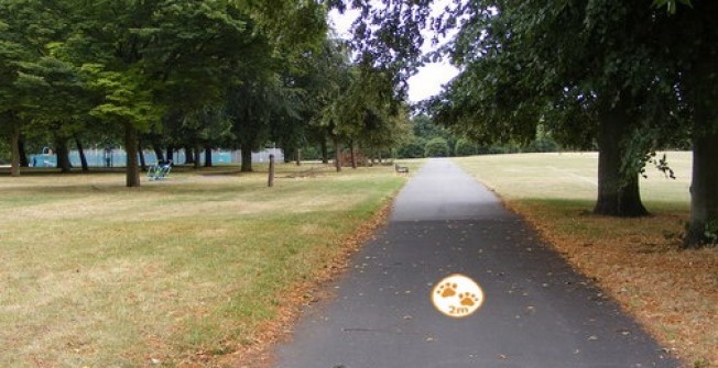 Social Distancing Park Markings